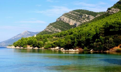 Zdjecie CHORWACJA / Peljeac / zatoka uljana / potrafi zauroczy...