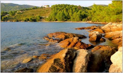 Zdjcie CHORWACJA / Peljeac / za uljan / brzegiem ciepego morza...