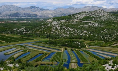 Zdjecie CHORWACJA / Dalmacja / delta Neretwy / w poudniowej Dalmacji...