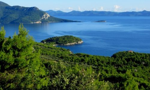 Zdjecie CHORWACJA / Peljeac / midzy Trstenikiem a  uljan / ziele i bkit...