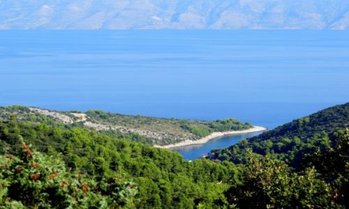 Zdjecie CHORWACJA / Hvar / w drodze do Vrboski / uvala...
