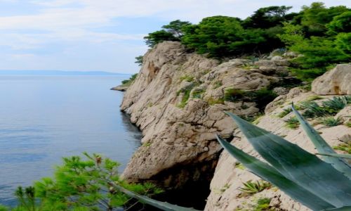 Zdjęcie CHORWACJA / Riviera Makarska / Makarska  / na półwyspie św. Piotra...