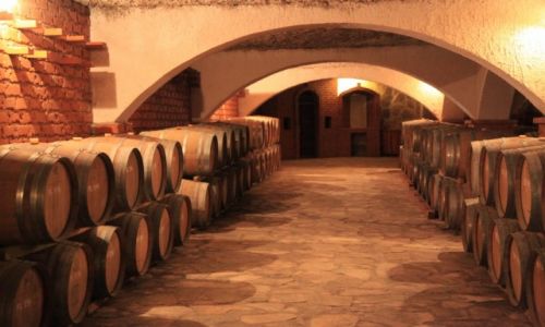 Zdjęcie CHORWACJA / Południowa Dalmacja / Potomje / Winiarnia Matuško