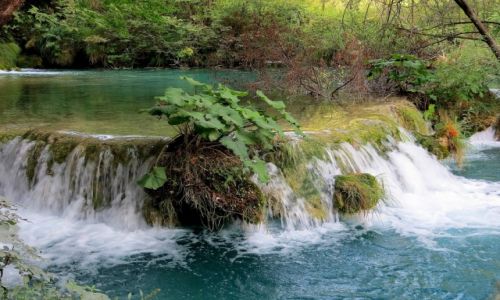 Zdjcie CHORWACJA / rodkowa Chorwacja / Park Narodowy Jezior Plitwickich / wok ziele i szumice strugi...