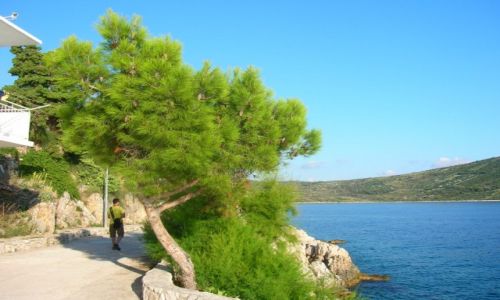 Zdjecie CHORWACJA / Dalmacja / Trogir / Skrawek Świata