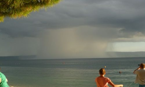 Zdjecie CHORWACJA / RIWIERA MAKARSKA / TUEPI / GRZYBEK