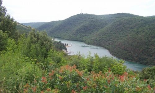 Zdjecie CHORWACJA / Istria / Kana limski / Chorwackie fiordy