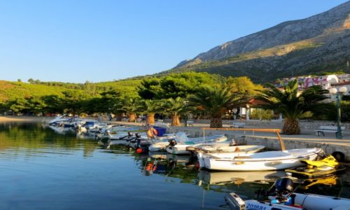 Zdjecie CHORWACJA / Riviera Makarska /  Zivogosce / sonko ju wstao...