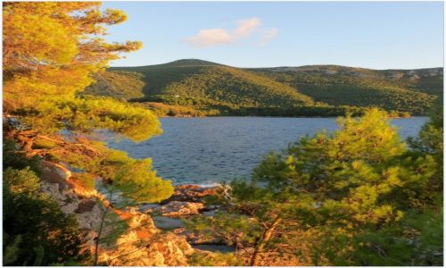 Zdjecie CHORWACJA / Peljesac / midzy Zuljan a Trstenikiem / spacerujc wrd trzcin...