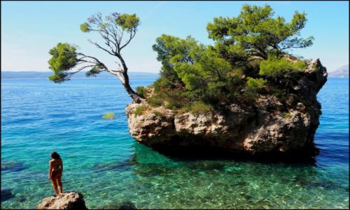 Zdjecie CHORWACJA / Riviera Makarska / Brela / Punta Rata...