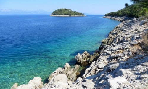 Zdjcie CHORWACJA / Peljeac / zatoka Divna / znw w ulubionej zatoce...