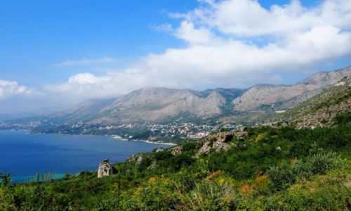 Zdjecie CHORWACJA / Dalmacja poudniowa / midzy Dubrownikiem a Cavtatem / w drodze do Cavtatu...