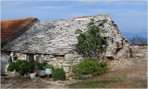 Zdjecie CHORWACJA / Hvar / mniej wicej w poowie drogi przez wysp / u winiarza...