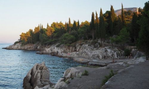 Zdjcie CHORWACJA / Peljeac / Trpanj / kamieniste wybrzee pwyspu....