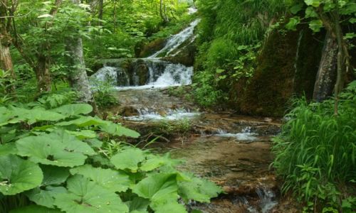 Zdjecie CHORWACJA / - / Park Narodowy Jezior Plitvickich / Jeziora Plitvickie