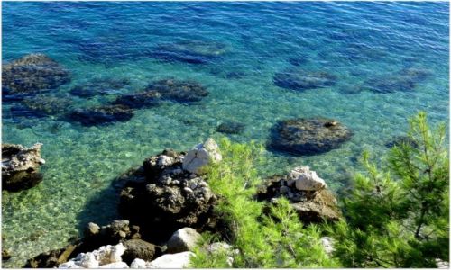 Zdjecie CHORWACJA / Riviera Makarska / Zivogosce / patrz... i kamieniom  zazdroszcz