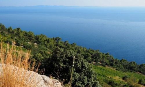 Zdjecie CHORWACJA / Peljeac / za tunelem Dinga / przemierzajc Peljeac...