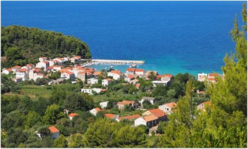 Zdjecie CHORWACJA / Peljeac / uljana / ukryta wrd piniowych lasw...
