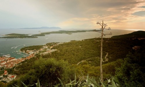 Zdjecie CHORWACJA / - / Hvar / Niezamieszkae tzw. diabelskie wyspy.