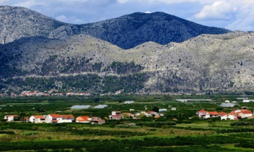 Zdjecie CHORWACJA / Dalmacja / Dubrovako-neretvanska upanija / w delcie Neretwy...