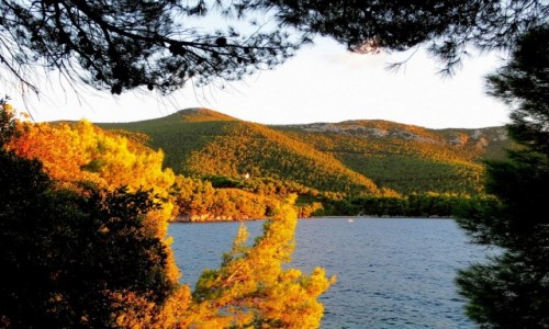 Zdjecie CHORWACJA / Peljesac / Zuljana / pnym popoudniem...