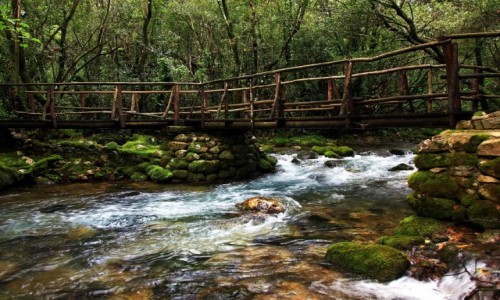 Zdjecie CHORWACJA / Konavle / Gruda / Mostek