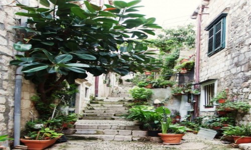 Zdjcie CHORWACJA / Poudniowa Dalmacja / Dubrovnik / Uliczka ze schodami