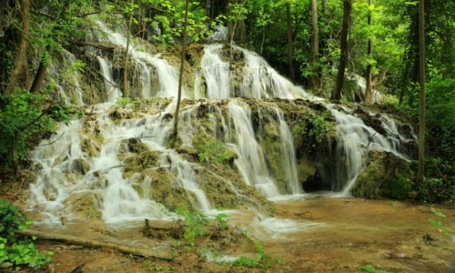 Zdjecie CHORWACJA / rodkowa Dalmacja / Wodospady Krka / Wodospady 