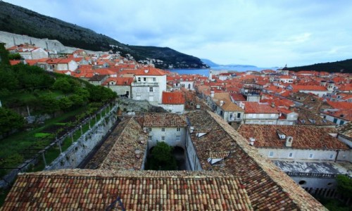 Zdjcie CHORWACJA / Poudniowa Dalmacja / Dubrovnik / Mury, dachy i ogrody