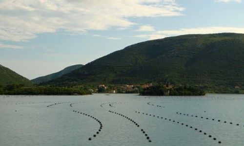 Zdjęcie CHORWACJA / Magistrala Adriatycka / Wybrzeże  / Wzdłuż Jadranki ..