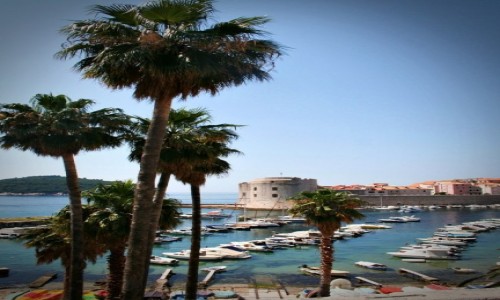 Zdjecie CHORWACJA / Dalmacja / Dubrovnik / Widok na mury Dubrownika