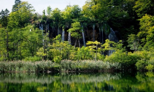Zdjcie CHORWACJA / rodkowa cz Chorwacji / Park Narodowy Jezior Plitwickich / Plitwickie jeziora