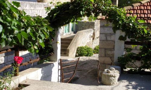 Zdjęcie CHORWACJA / Dalmacja / Wyspa Mljet / Widok z tarasu