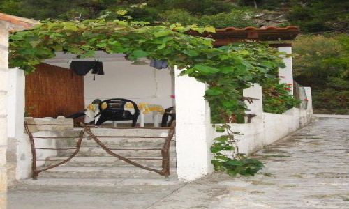 Zdjęcie CHORWACJA / Dalmacja / Wyspa Mljet / Taras