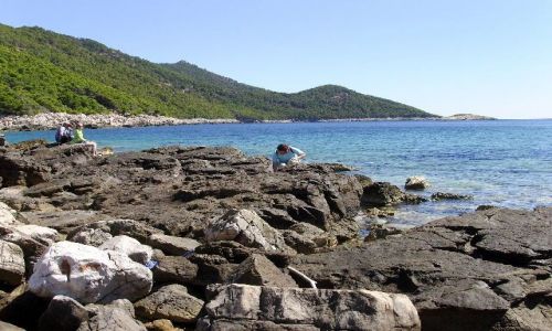 Zdjęcie CHORWACJA / Dalmacja / Wyspa Mljet / Koniec wyspy