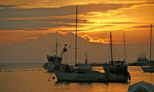 Zdjęcie CHORWACJA / Rovinj / Rovinj / Kutry