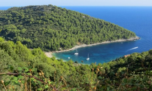 Zdjecie CHORWACJA / Korula / Pupnatska Luka / pierwsze spojrzenie...