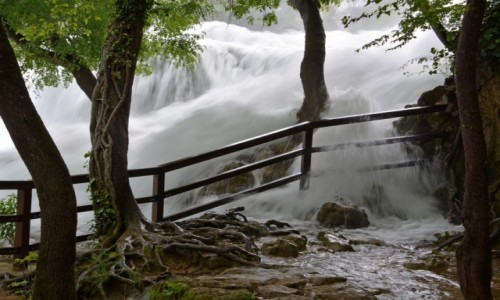 Zdjecie CHORWACJA / rodkowa dalmacja / Park Narodowy Krka / Krka
