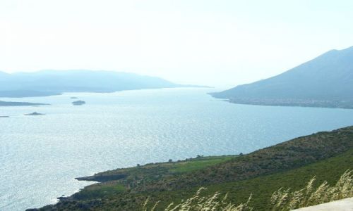 Zdjecie CHORWACJA / Dalmacja / Peljesac / widoczek z brzegu