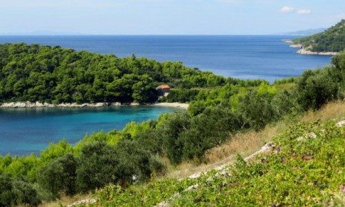 Zdjecie CHORWACJA / Peljesac / midzy Zuljan, a Trstenikiem / na odludziu...