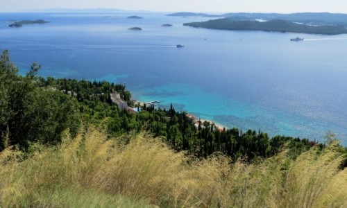 Zdjecie CHORWACJA / Peljeac / w drodze z Orebi do Lovite / oczarowanie... 