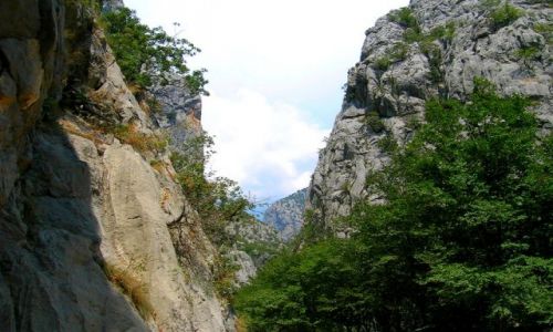 Zdjęcie CHORWACJA / brak / Paklenica / w góry