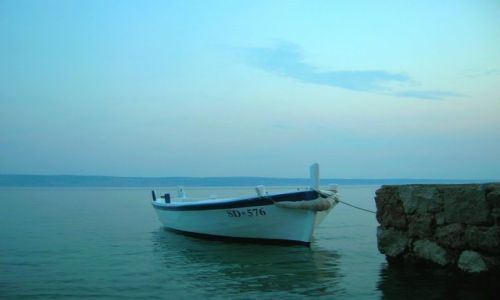 Zdjcie CHORWACJA / Dalmacja / Starigrad / w samotnoci...