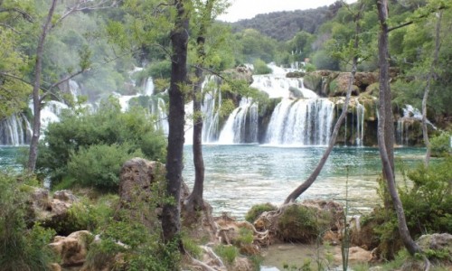 Zdjcie CHORWACJA / Chorwacja / Park Narodowy Krka / Wodospady na rzece Krka