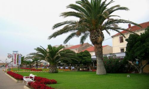 Zdjęcie CHORWACJA / Chorwacja środkowa / Biograd / w miasteczku