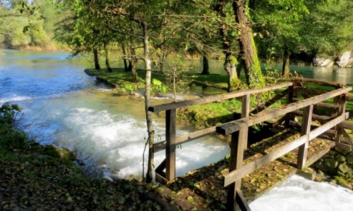 Zdjecie CHORWACJA / rodkowa Chorwacja / Slunj, skansen mynw wodnych / licie lec z drzew...