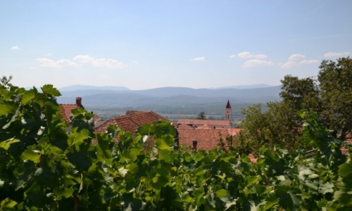 Zdjcie CHORWACJA / upania splitsko - dalmatyska / Imotski / Imotski