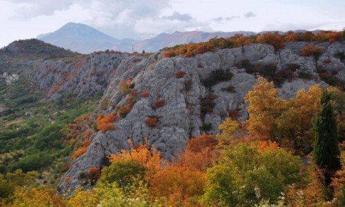 Zdjecie CHORWACJA / Dalmacja rodkowa / Zadvarje / malowniczy kanion Cetiny...