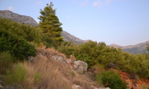 Zdjcie CHORWACJA / upania splitsko - dalmatyska / Gradac / .....