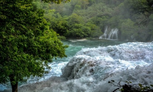 Zdjęcie CHORWACJA / Dalmacja / Park Narodowy Krka / Park Narodowy Krka